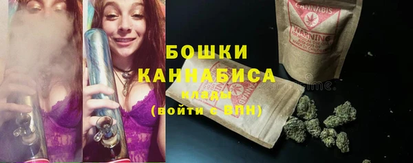 винт Вяземский
