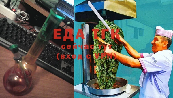 гидра Вязьма