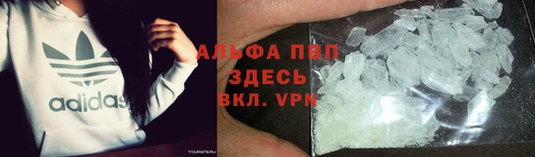 гидра Вязьма