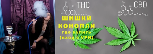 гидра Вязьма