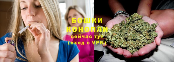 дживик Вязники