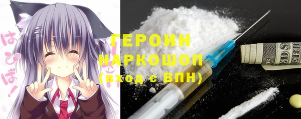 гидра Вязьма