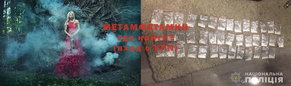гидра Вязьма